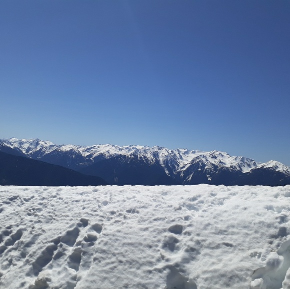 Meet your Posher, Jennifer - Picture 1 of 1